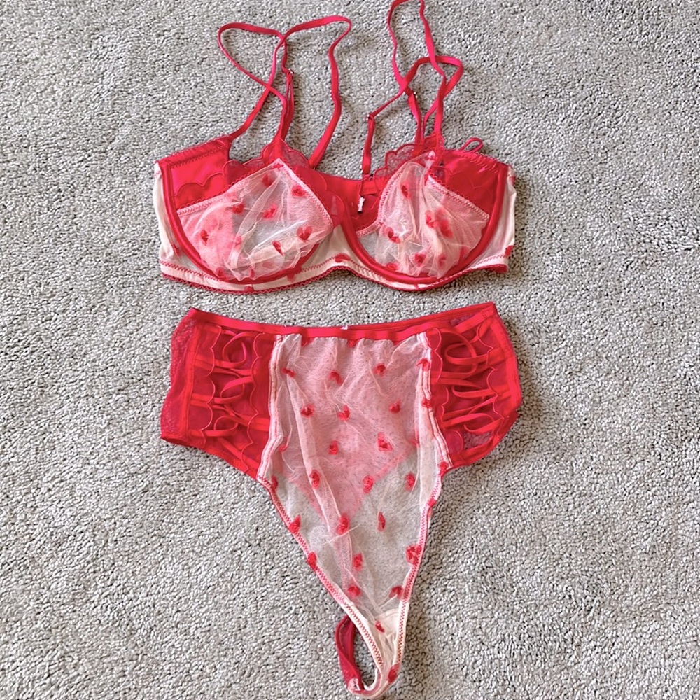 Victoria’s Secret rose bud V-Day set
